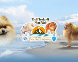 Spitz Nano e Piccoli