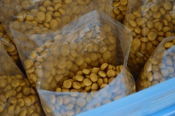 Storing and Serving Your Dog’s Food: 7 Common Pitfalls to Avoid