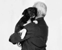 Pet Therapy: casi concreti in cui viene utilizzata