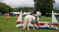 Falling from Your Horse: How to Fall Safely Every Time