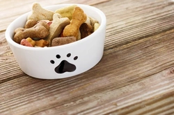 Dog Food Labelling Decoded: Understanding Ingredients & Quality