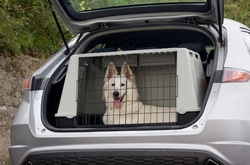 Keeping Your Dog Safe in the Car: Essential Tips