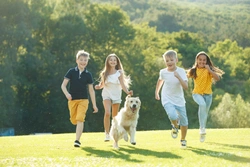 Kids birthday parties and dogs: Key hazards and problems to avoid