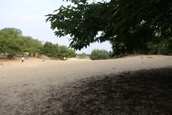 Losloopgebied: De Loonse en Drunense Duinen