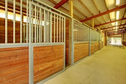 Choosing the Right Livery Yard for Your Horse