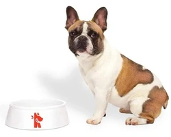 Il cibo fresco per gli animali - La rivoluzione di Real Bowl