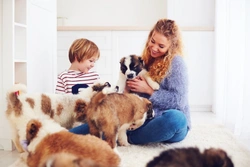 Planning Puppy Viewings: Hygiene and Best Practices in 2025