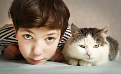 10 Essential Cat Safety Tips for Primary School Children