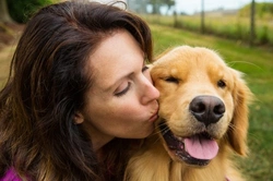 How Long Does It Take for a Dog to Bond with a New Owner?