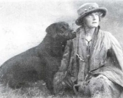 La storia e le origini del Labrador Retriever