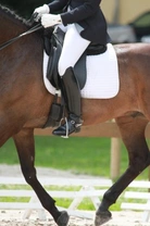Competing in Dressage to Music: A Complete Guide