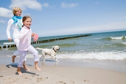 Therapeutic Benefits of Owning a Dog: Science & Wellbeing