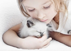 Cats and Children: When and How to Introduce Them Safely