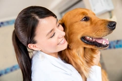 10 Essential Questions Dog Owners Should Ask Their Vet