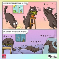 Cómics divertidos de perros y gatos