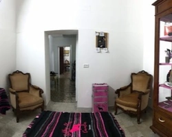 ALLEVAMENTO: TOELETTATURA SILKYSTAR