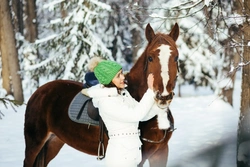 12 Unique Christmas Presents for Horse Lovers
