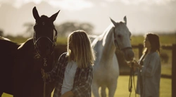 Miljömässigt hållbarhetsarbete i stallet