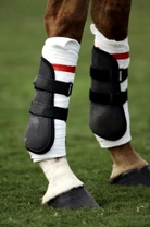 What Boots Should My Horse Wear? A 2025 Guide