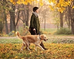 Come essere Proprietari di cani migliori