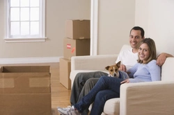 Moving House with Your Dog: 7 Key Tips for Smooth Transition