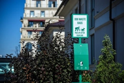 Six potentially serious and even fatal diseases dogs can catch from dog poop