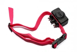 UK Government Consultation on Ban of Electric Shock Collars