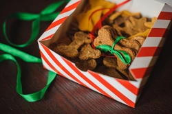 Top 7 Christmas Gift Ideas for Dogs in 2025