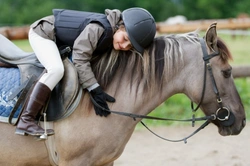 6 Essential UK Horse Care FAQs & Riding Rules for Lockdown 2025