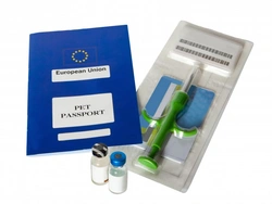 Additional Vaccinations Your Dog Needs for Mainland Europe Travel