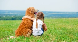 Tackling a dog aggressive towards children: complete guide