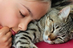 7 Remarkable Ways Cats Show Affection With Love