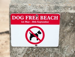 Your Pets and the Law: UK Ownership & Liability Guide