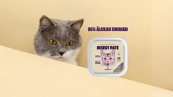 Köttig nyhet: Våtfoder för katt med insektsprotein