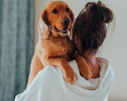 Addestramento cani: quando è la soluzione giusta