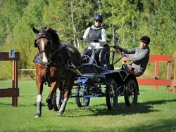 Carriage Driving Nordic siktar på nytänkande och tillgänglighet, för både stora och små, erfarna och nybörjare