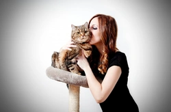 Pet Insurance: Is It Worth the Cost in 2025?