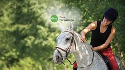 Att tänka på när du försäkrar din häst