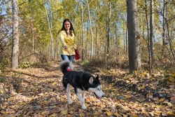 How to Stay Safe When Out Walking Your Dog