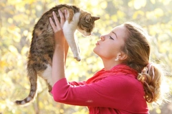 Avoiding Over-Humanisation of Your Cat: Essential Guide