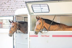 Fautras Hästtransporter: Hållbart med fokus på användarvänlighet och säkerhet