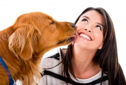 Minimiza gérmenes caninos: consejos clave para dueños de perros