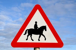 Horse Riding and Road Safety: Essential Guide for UK Riders