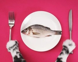 Fish4dogs: La nutrizione del cane a base di Pesce.