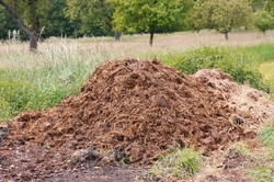 Horse Manure Management: Legal Facts & Composting Guide