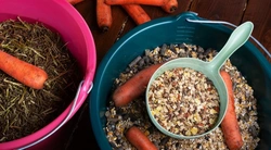 Tillskott - Behövs det?