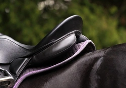 Cleaning and Maintaining Horse Tack: A Complete Guide