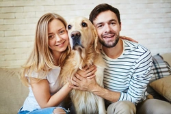 How to Decide Who Keeps the Dog If Your Relationship Ends