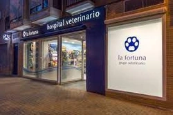 Los mejores veterinarios en Madrid