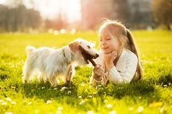 Why Ensuring Your Children Don't Tease Your Puppy Is Vital